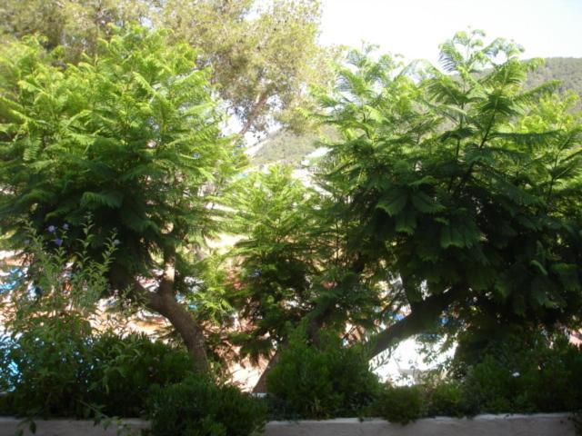 Appartement Pims Cala Llonga *
